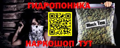 mdpv Краснознаменск