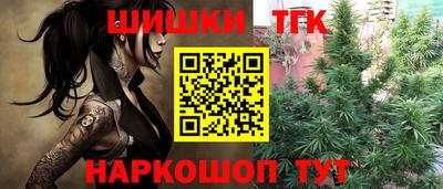 mdpv Краснознаменск