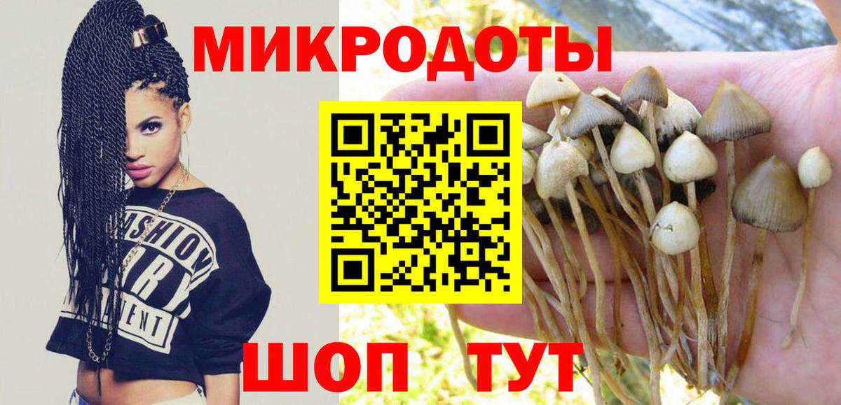 Ивантеевка  хочу   Галлюциногенные грибы MAGIC MUSHROOMS  Вход с VPN  Псилоцибиновые грибы мухоморы 